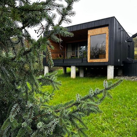 Brown Deer - Z Sauna Na Tarasie, Jacuzzi I Widokiem Na Gory - By Deer Hills Luxury Apartments Kocon Zewnętrze zdjęcie